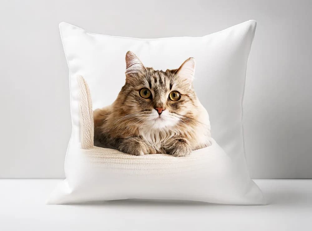 Cozy Whiskers Cat Decorative Throw Cushion